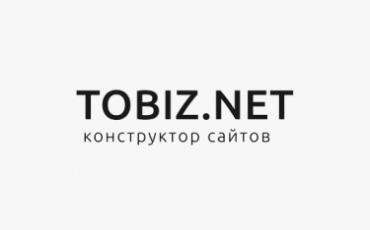 Кейс. Разработка тематических SEO статей на конструкторе TOBIZ.